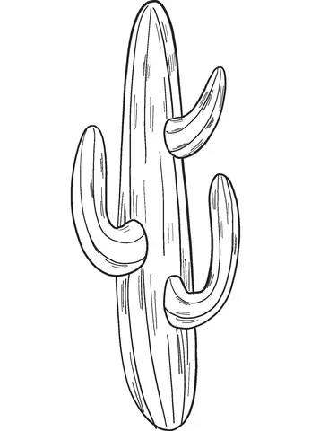 Desenhos de Cactus Para Colorir 46