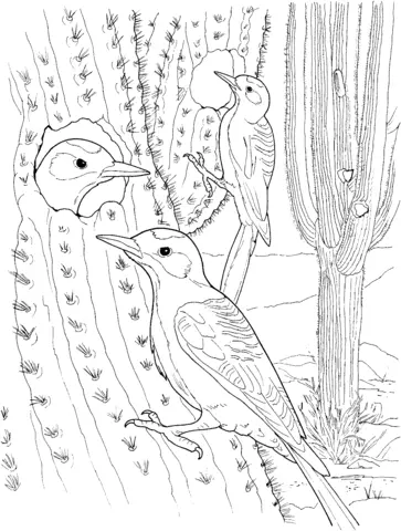 Desenhos de Cactus Para Colorir 65
