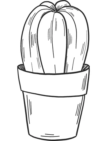 Desenhos de Cactus Para Colorir 68