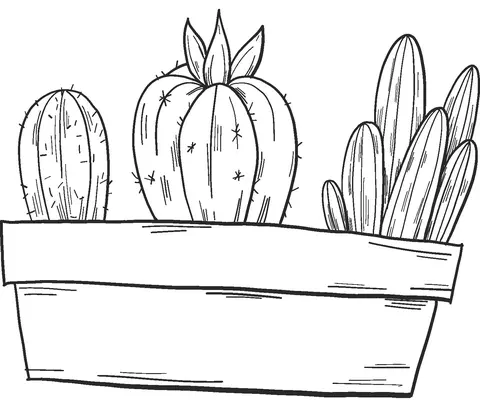 Desenhos de Cactus Para Colorir 9