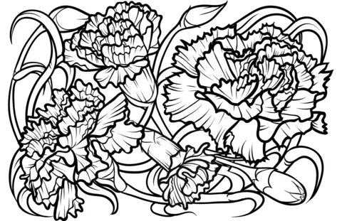 Clavel Para Colorear