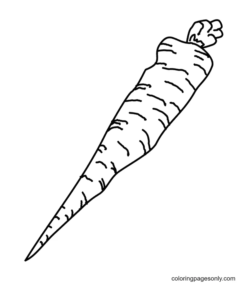 Karotten Ausmalbilder 24
