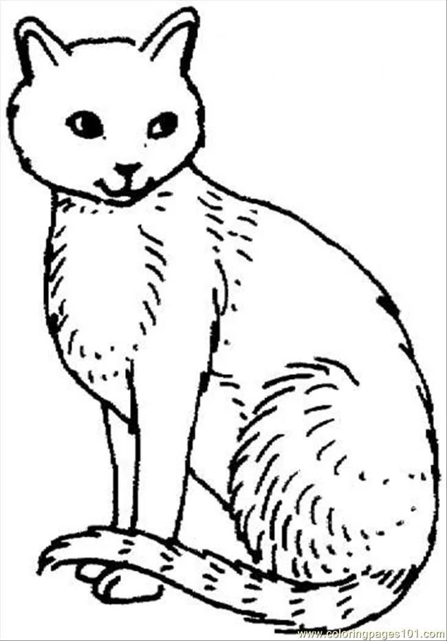 Cat Coloring Pages 15