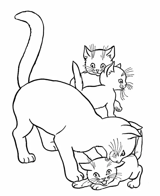 Cat Coloring Pages 43