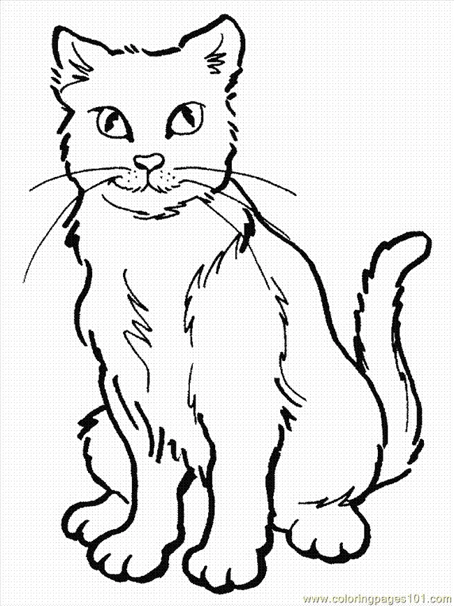 Cat Coloring Pages 58