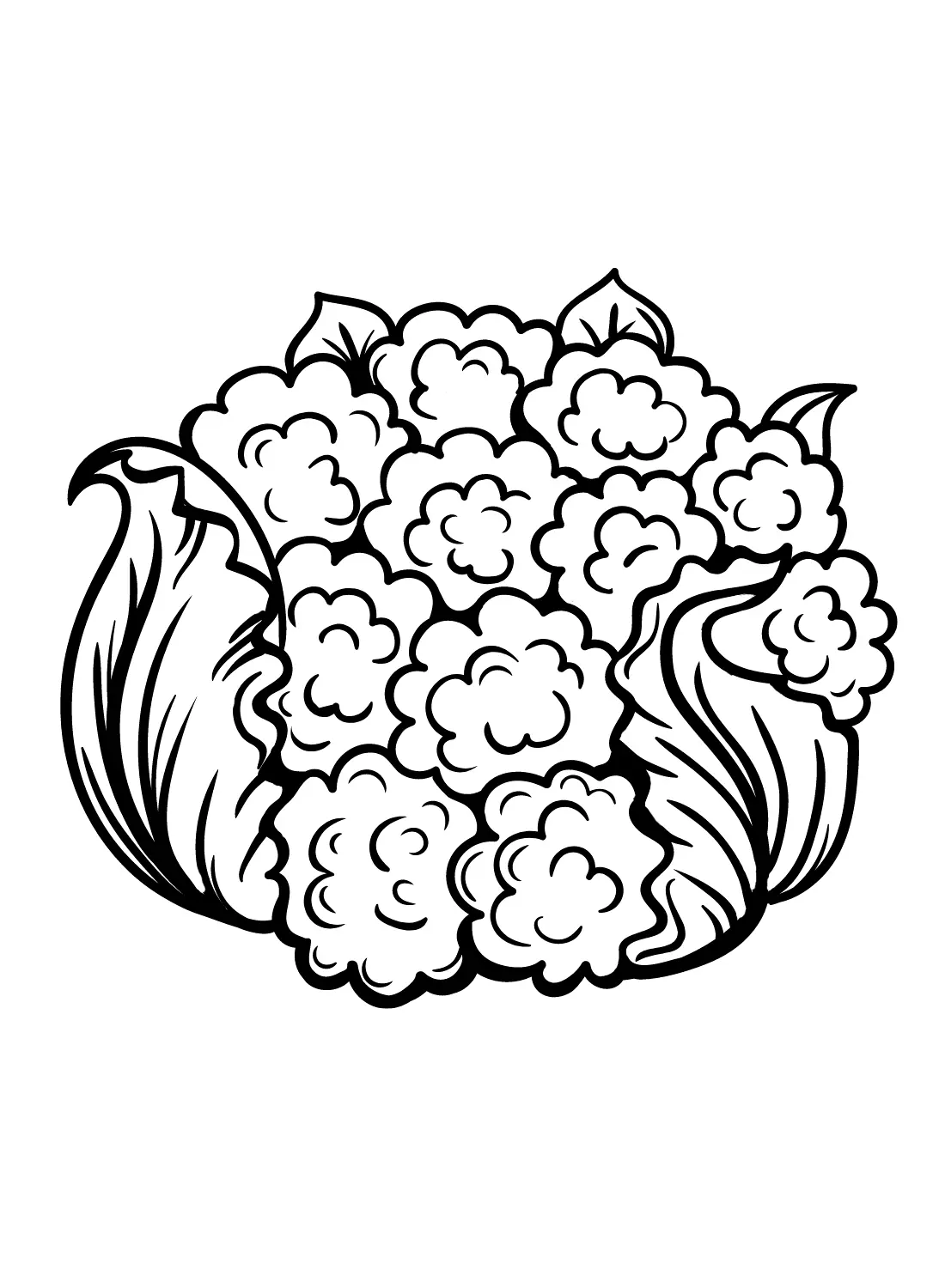Cauliflower Coloring Pages 1