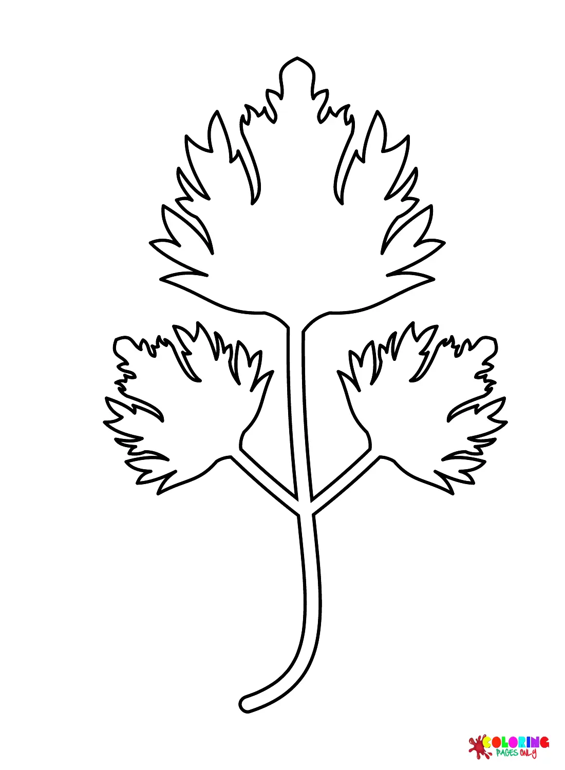 Celery Coloring Pages 23