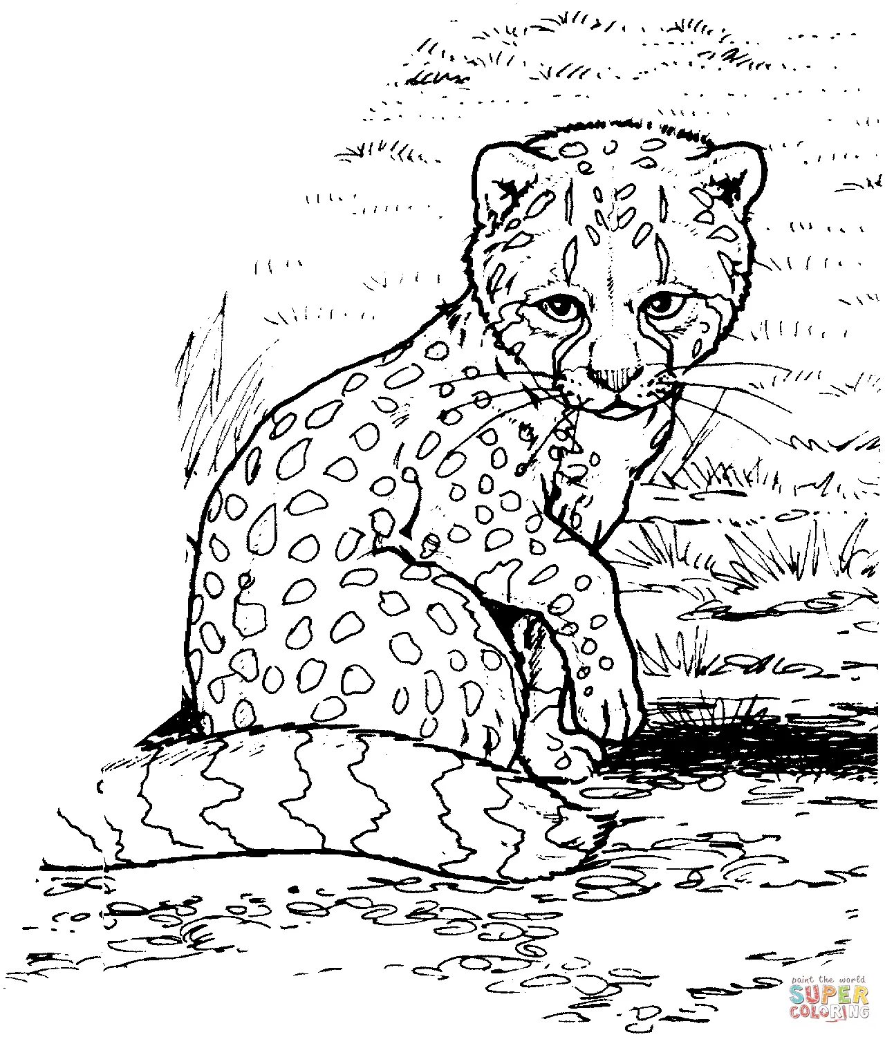 Desenhos de Chita Para Colori 1