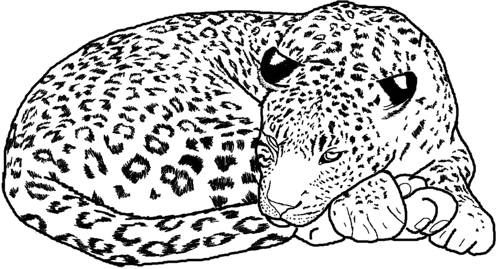 Desenhos de Chita Para Colori 2