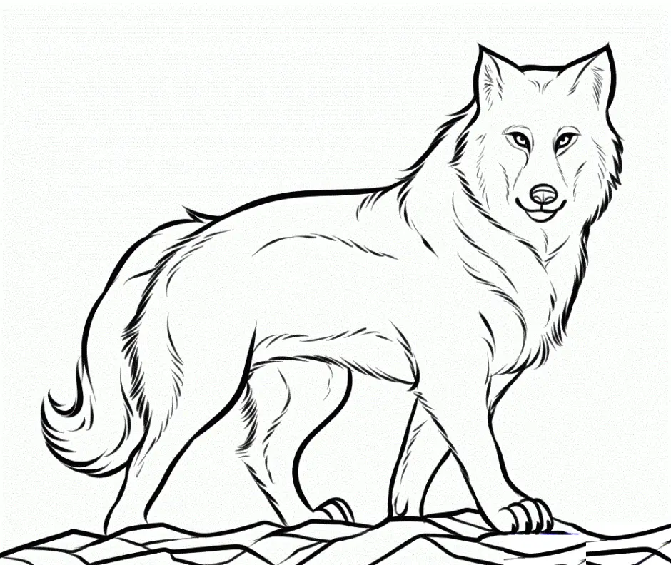 Desenhos de Chita Para Colori 31