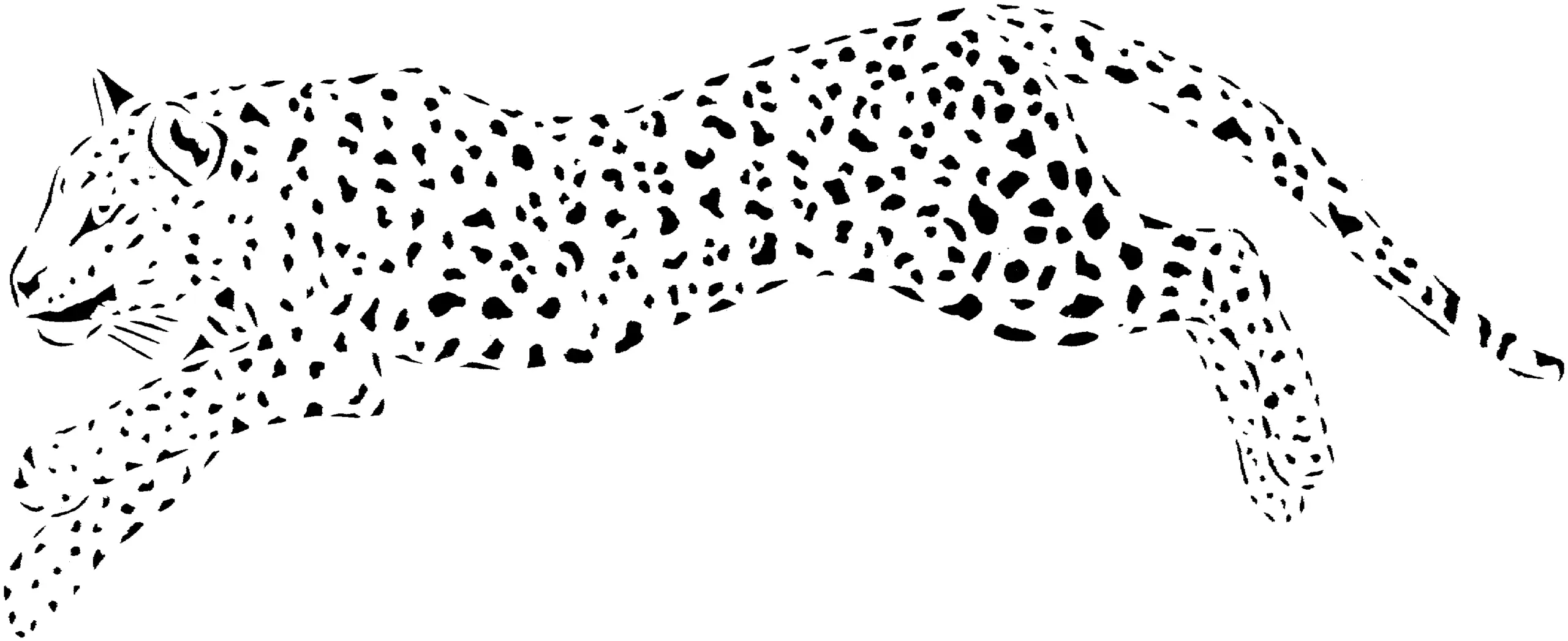 Desenhos de Chita Para Colori 37
