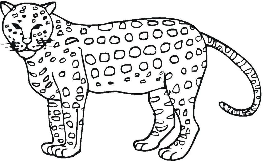 Desenhos de Chita Para Colori 38