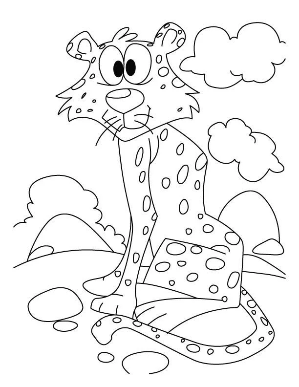 Desenhos de Chita Para Colori 47