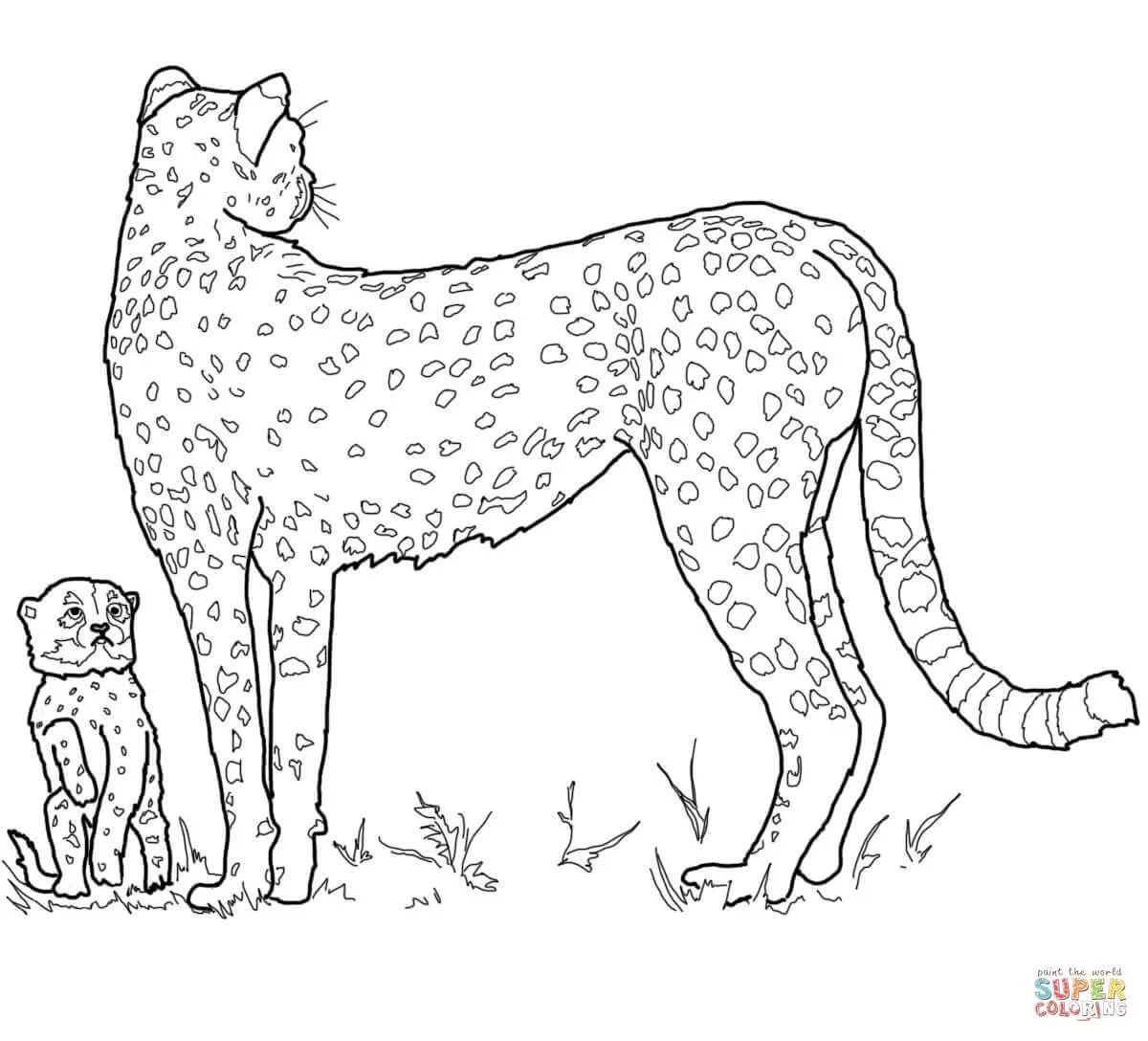 Desenhos de Chita Para Colori 5