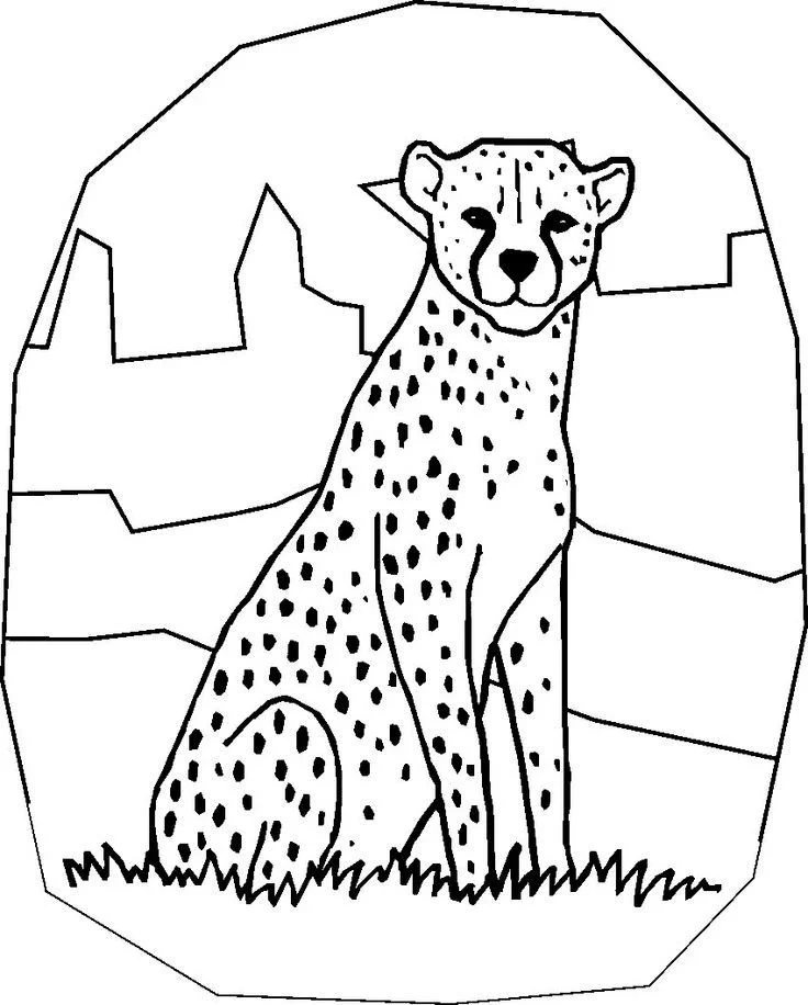 Desenhos de Chita Para Colori 76