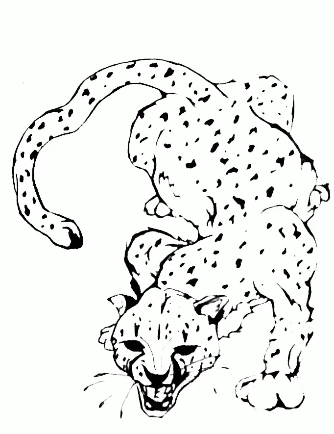 Desenhos de Chita Para Colori 82