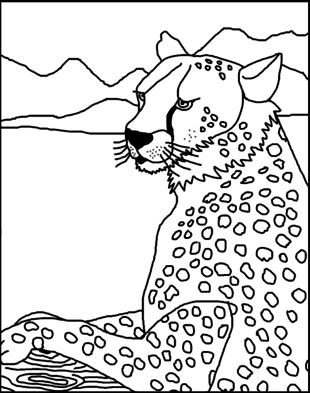 Desenhos de Chita Para Colori 88