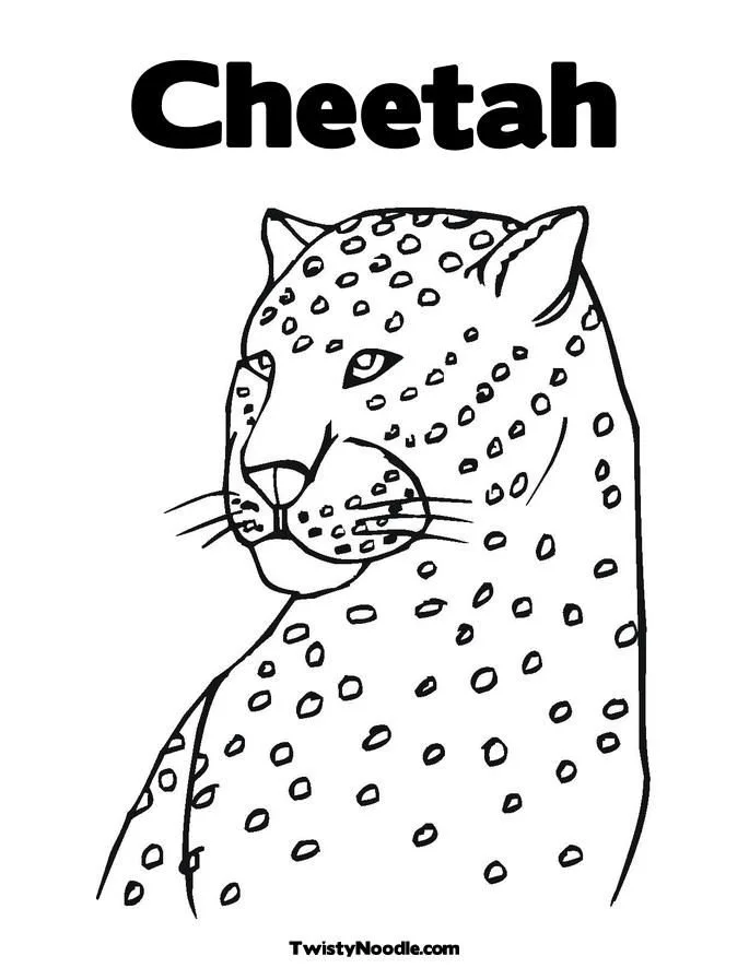 Desenhos de Chita Para Colori 92