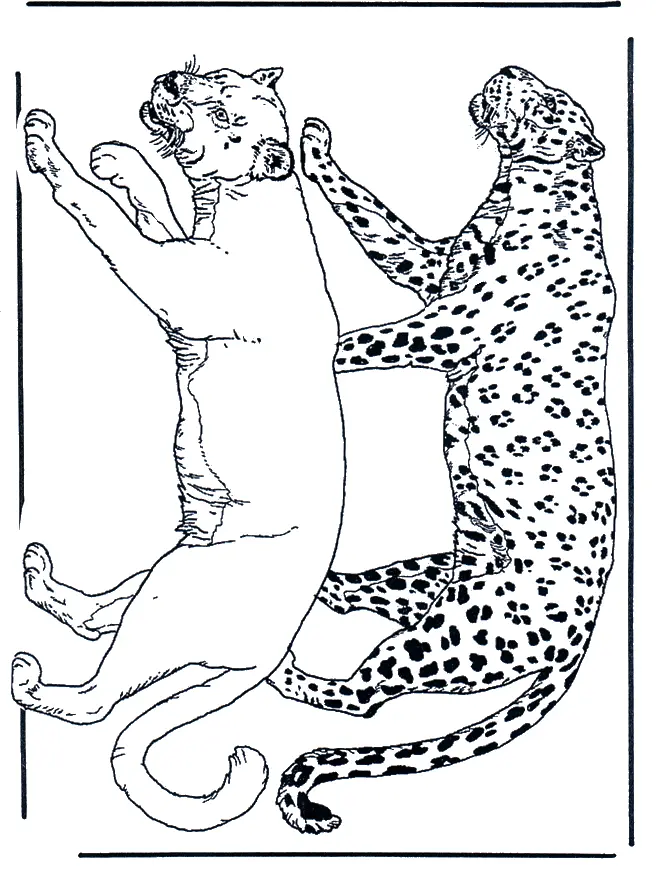 Desenhos de Chita Para Colori 93