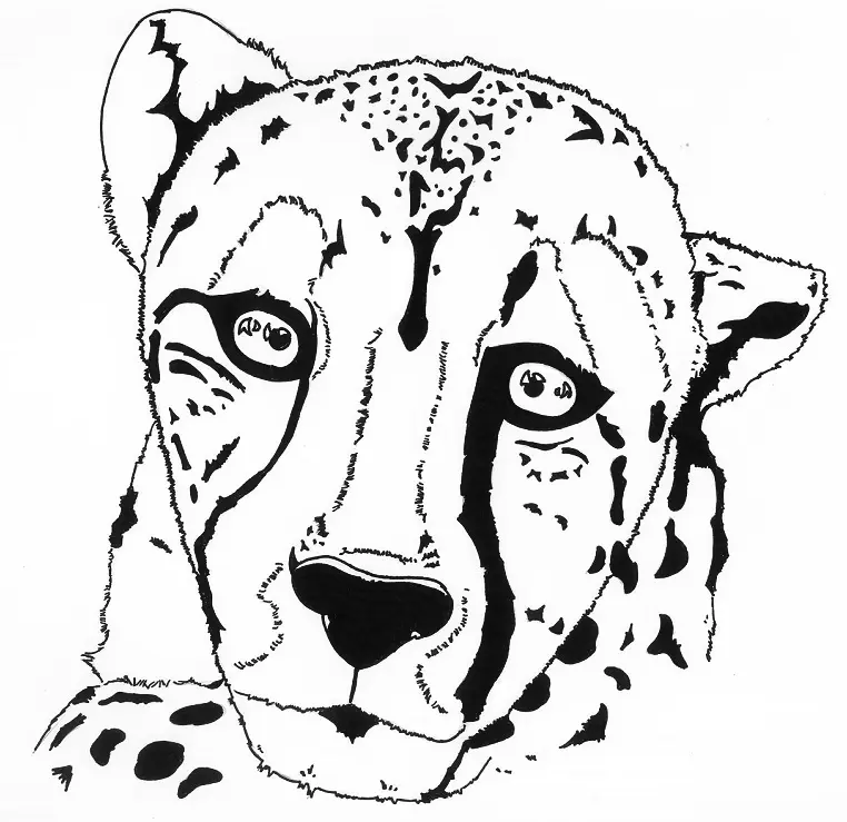 Desenhos de Chita Para Colori 94