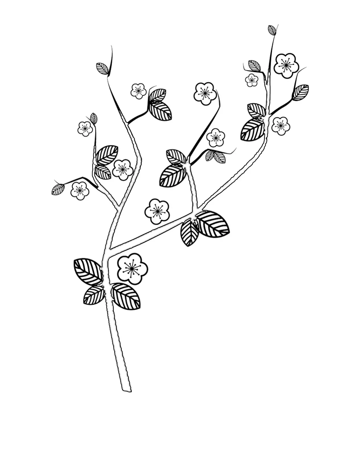 Kirschblüten Ausmalbilder 16