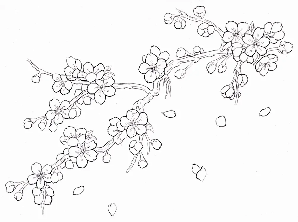 Kirschblüten Ausmalbilder 27