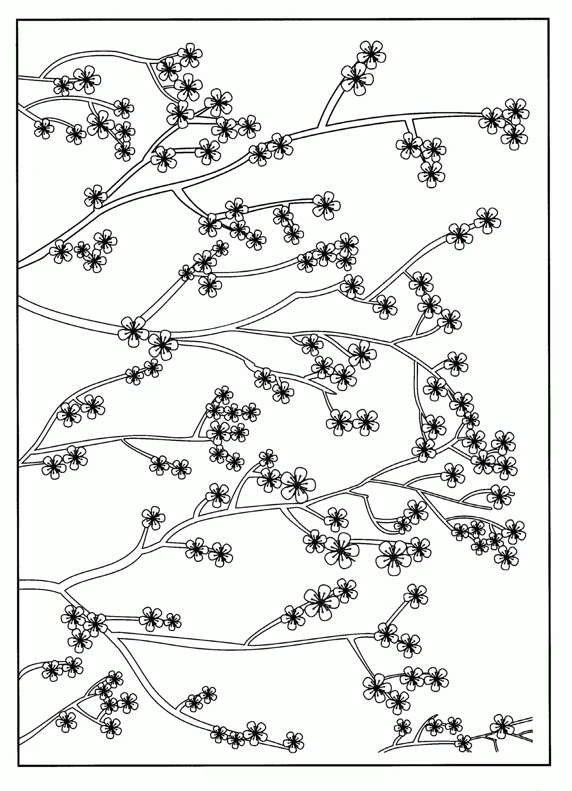 Kirschblüten Ausmalbilder 33