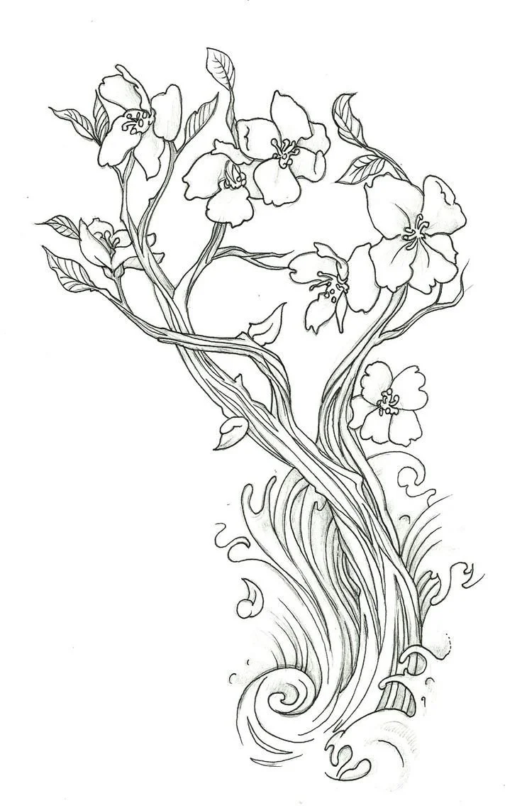 Cherry Blossom Coloring Pages