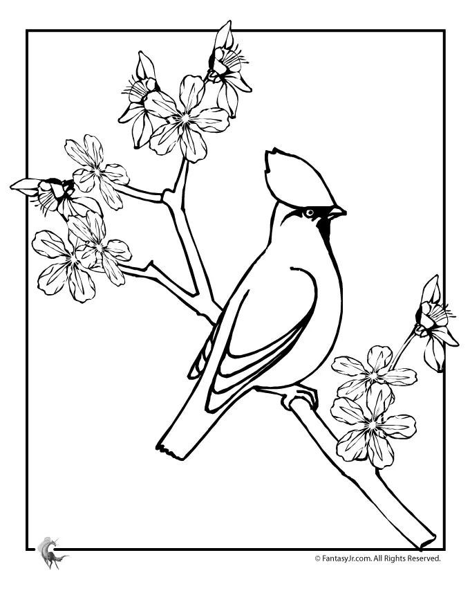 Kirschblüten Ausmalbilder 4