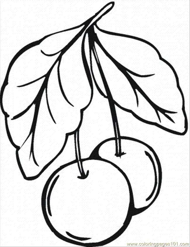 Cherry Coloring Pages 14