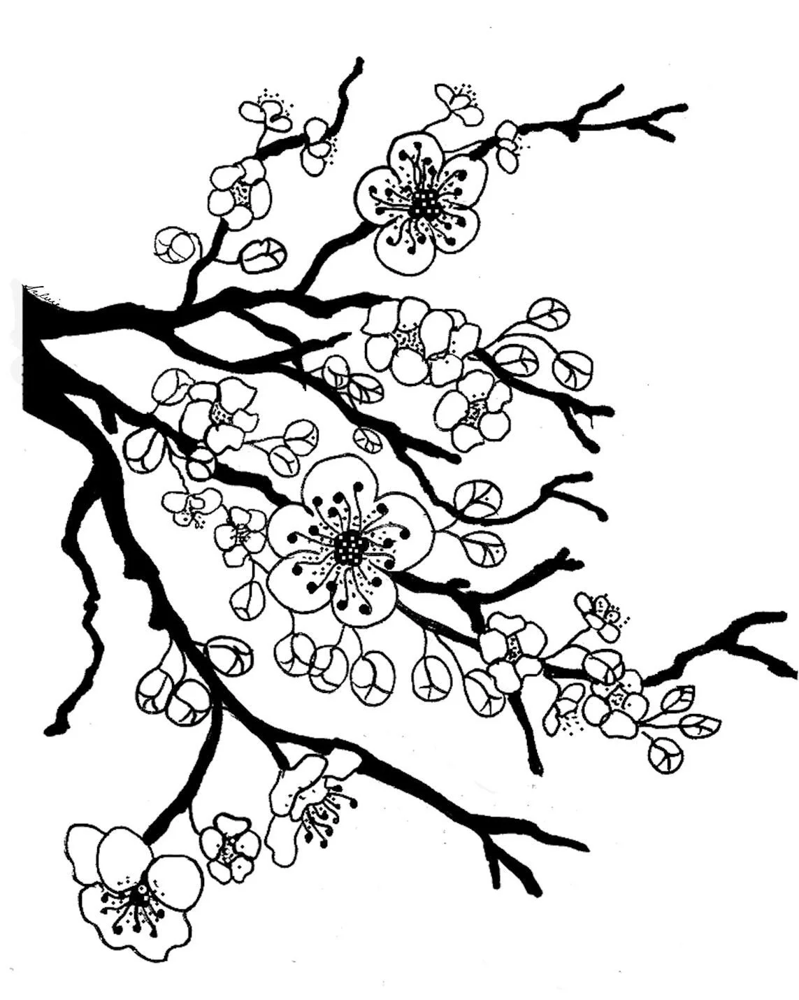Cherry Coloring Pages 17