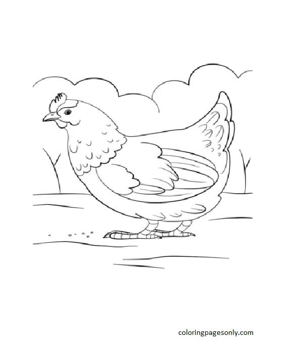 Desenhos de Frango Para Colorir 20