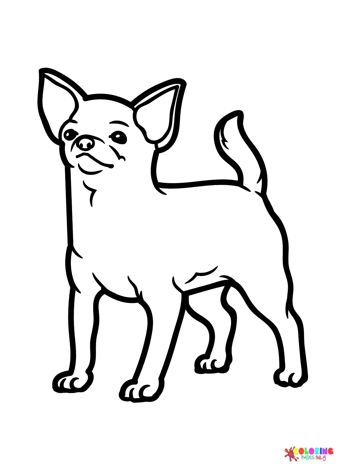 Chihuahua Coloring Pages 11