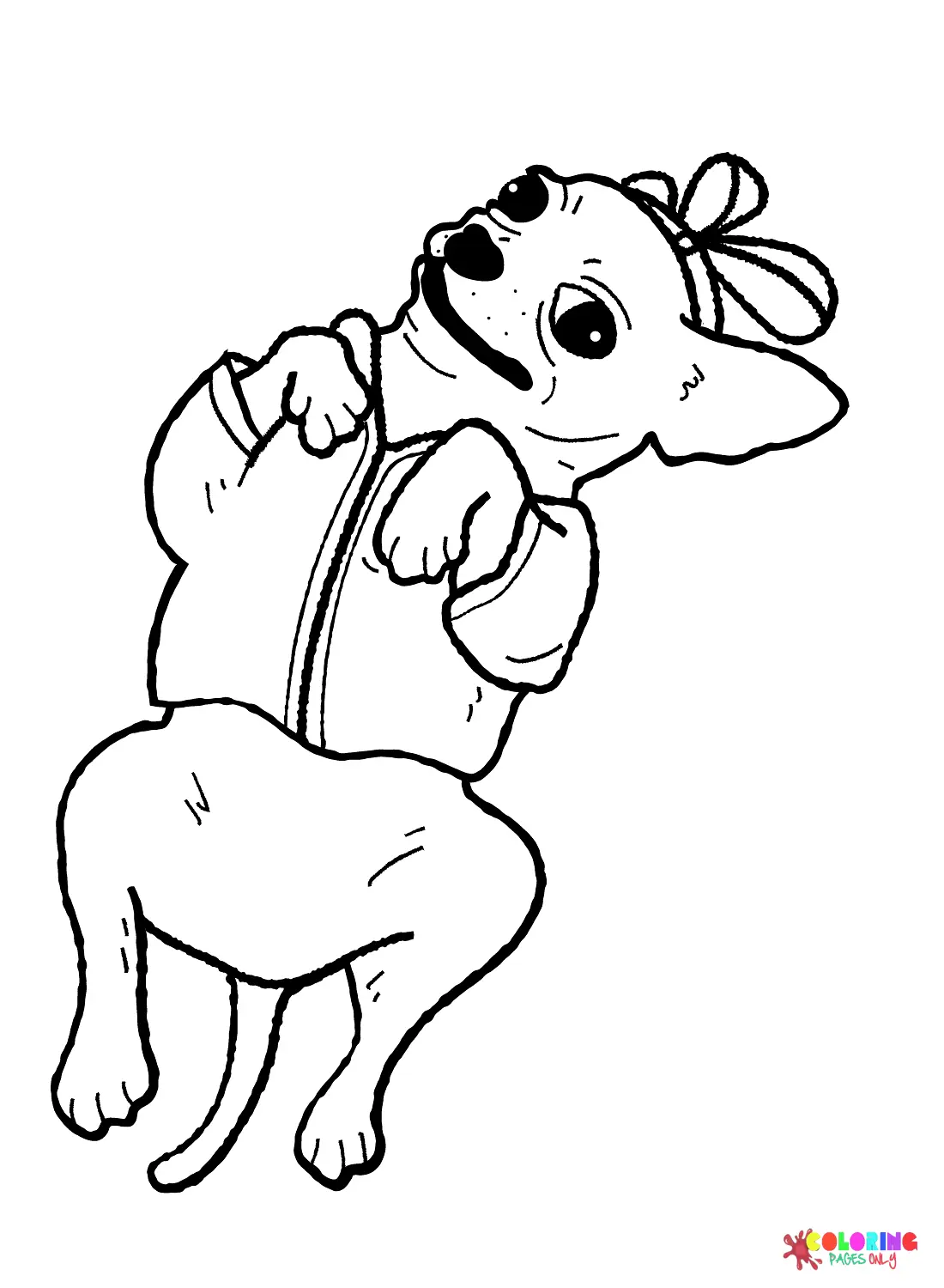 Chihuahua Coloring Pages 5