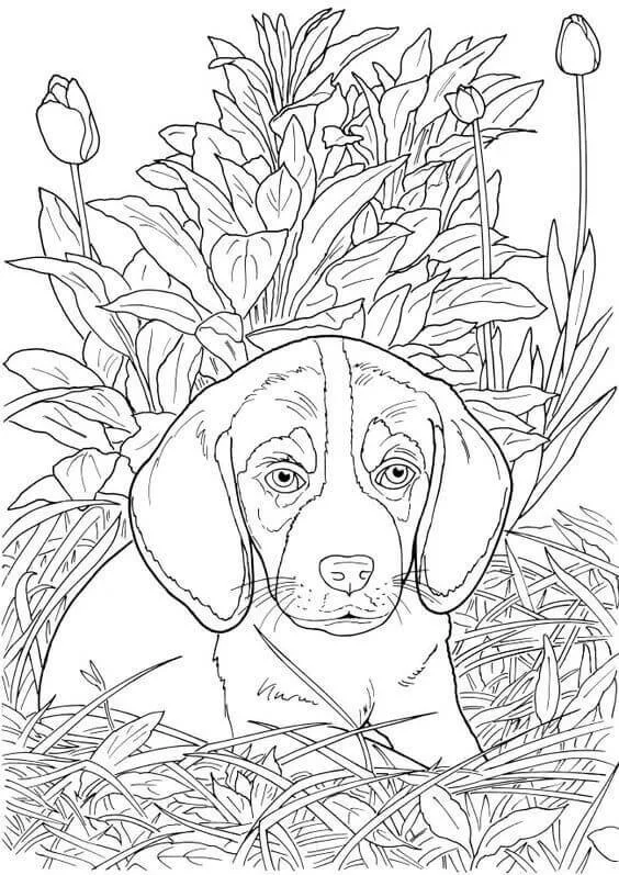 Christmas Dogs Coloring Pages 33