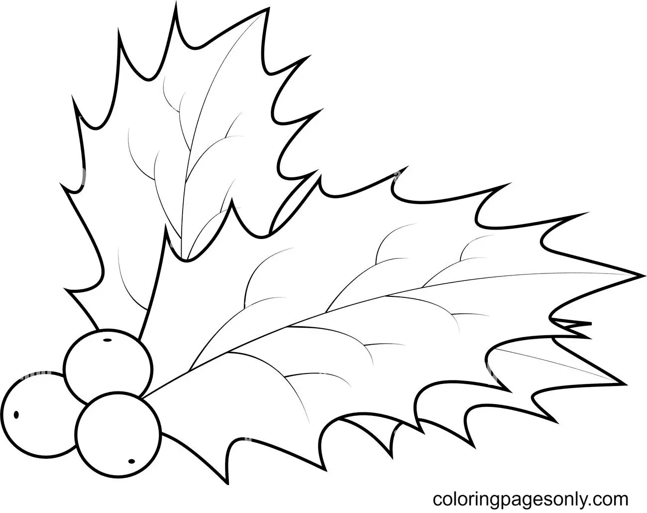 Desenhos de Azevinho de Natal Para Colorir 18
