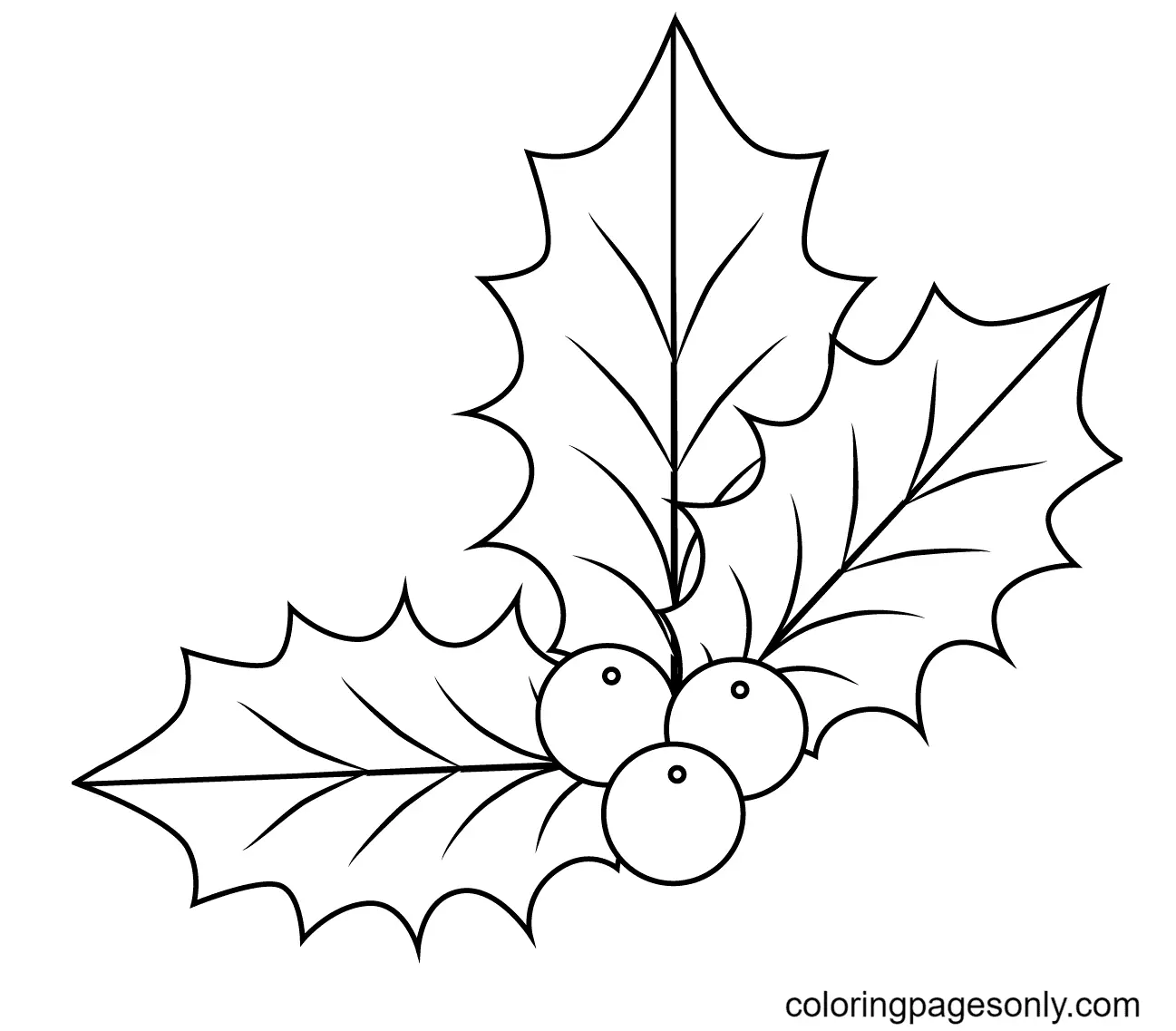 Desenhos de Azevinho de Natal Para Colorir 21