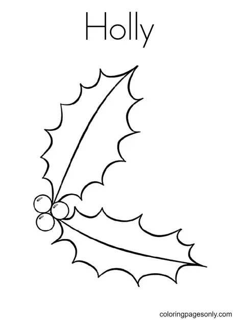 Desenhos de Azevinho de Natal Para Colorir 27