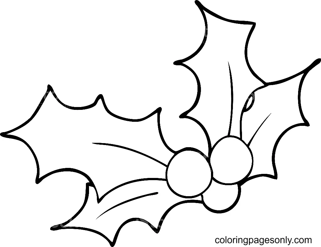 Desenhos de Azevinho de Natal Para Colorir 29