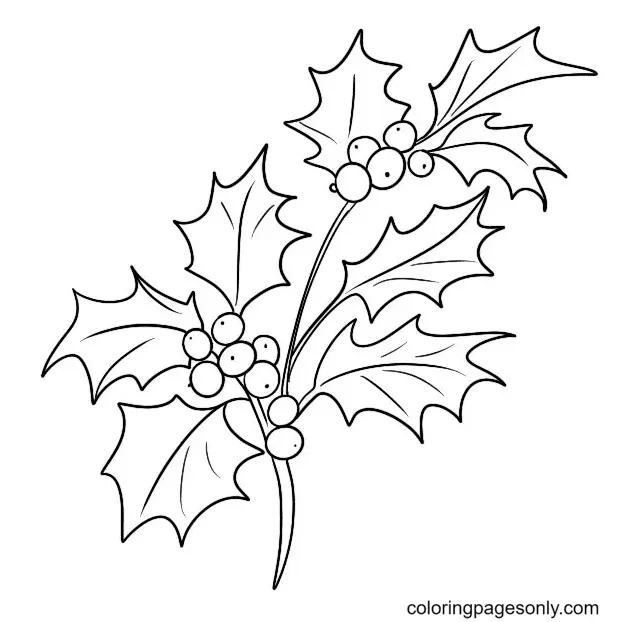 Desenhos de Azevinho de Natal Para Colorir 39