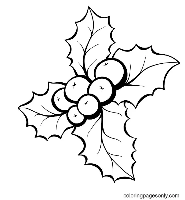 Desenhos de Azevinho de Natal Para Colorir 43