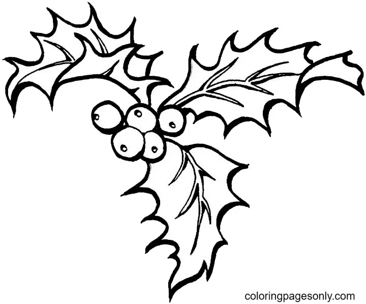 Desenhos de Azevinho de Natal Para Colorir 45