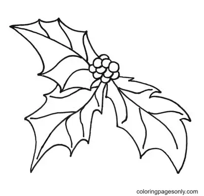 Desenhos de Azevinho de Natal Para Colorir 46