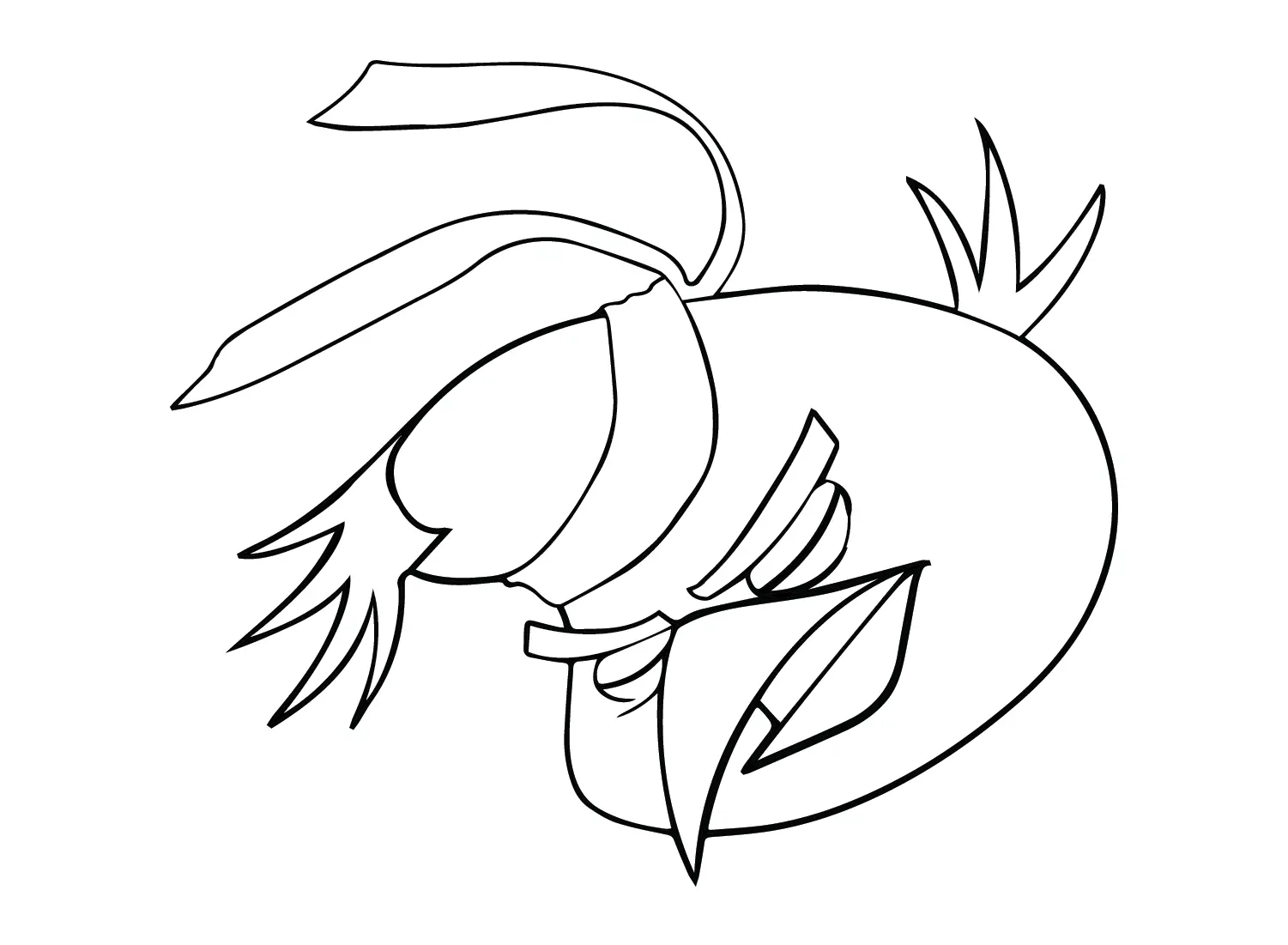 Chuck Angry Bird Coloring Pages 8
