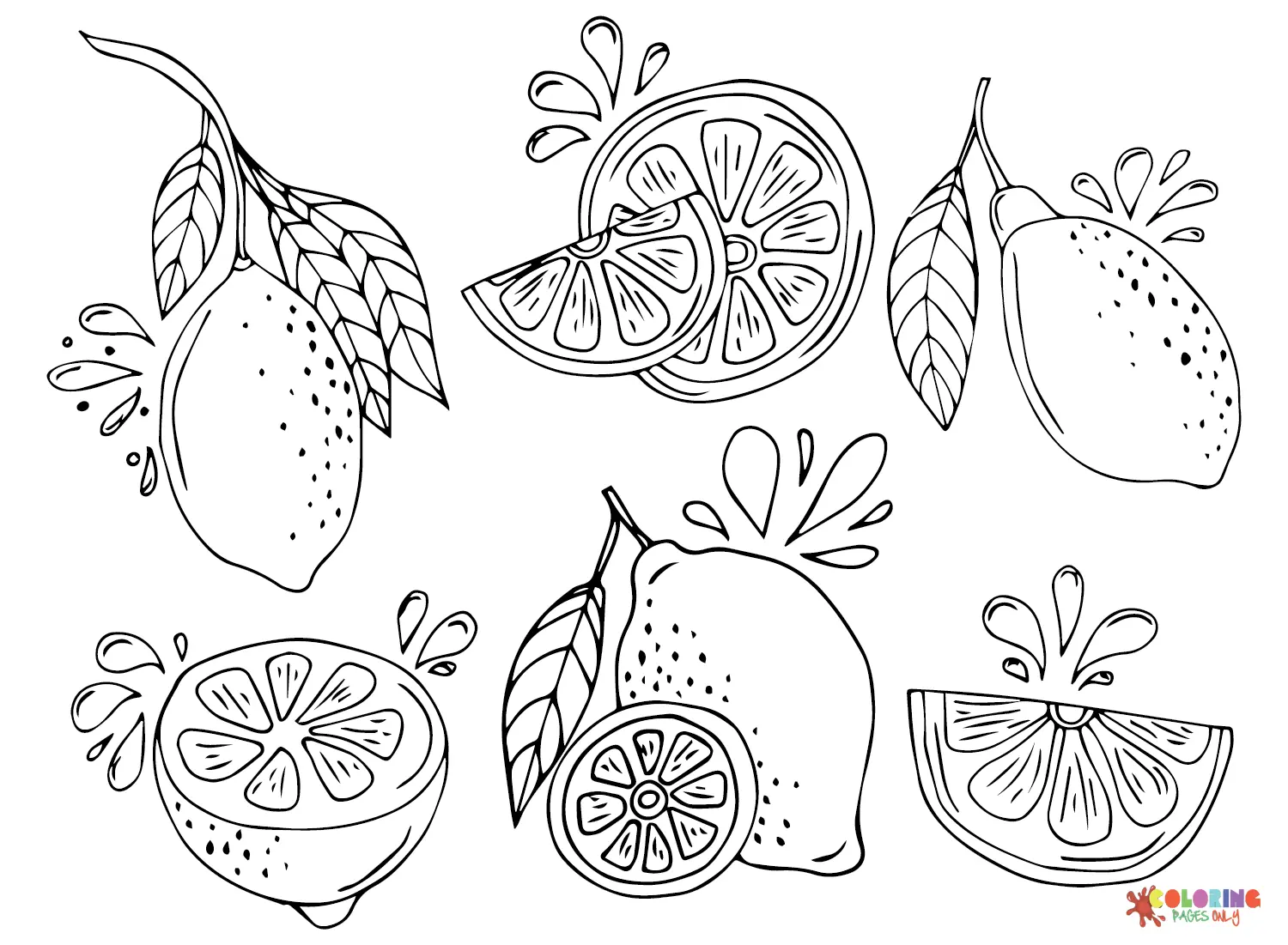 Citrus fruits Coloring Pages 16