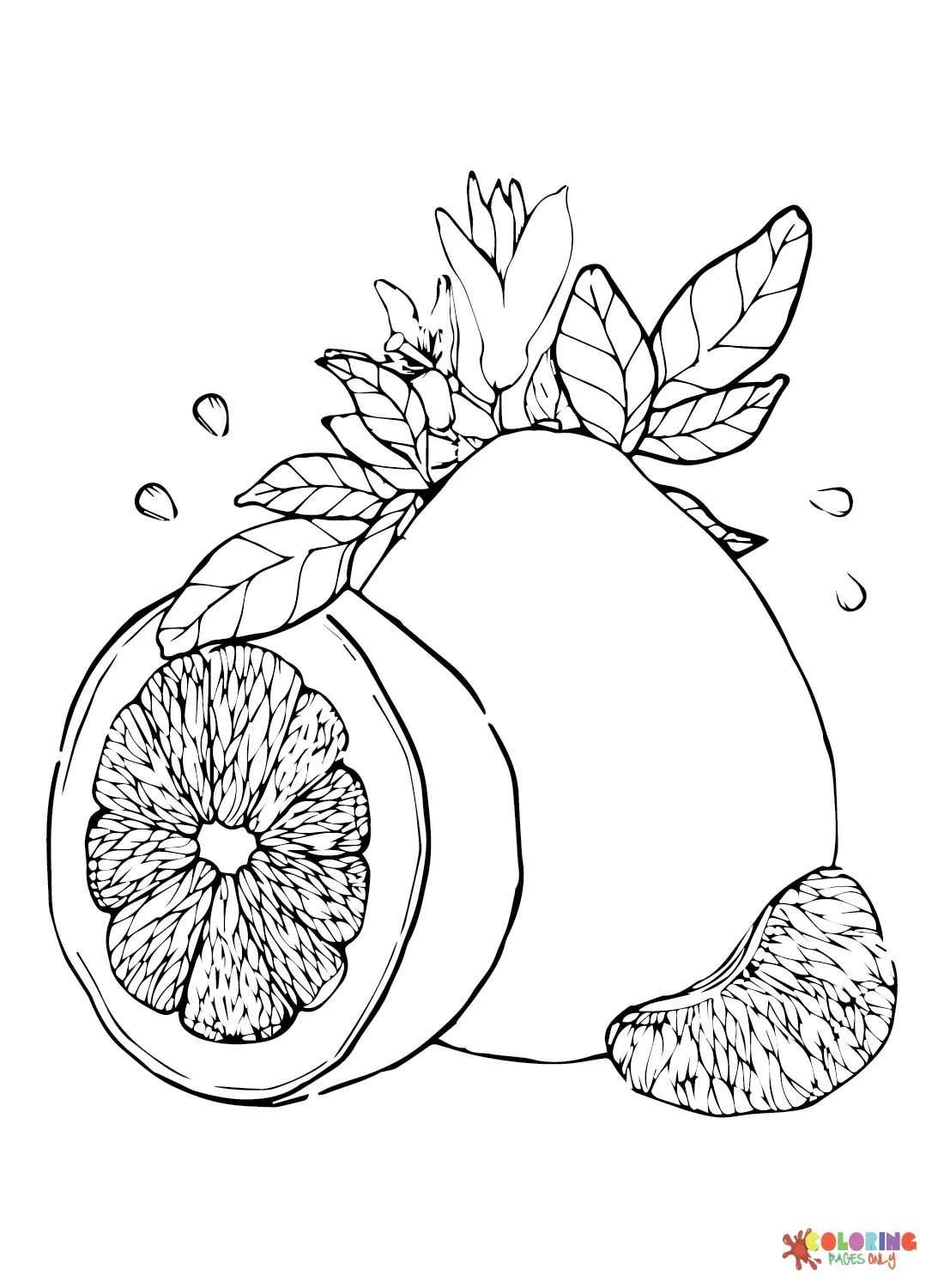 Citrus fruits Coloring Pages 17