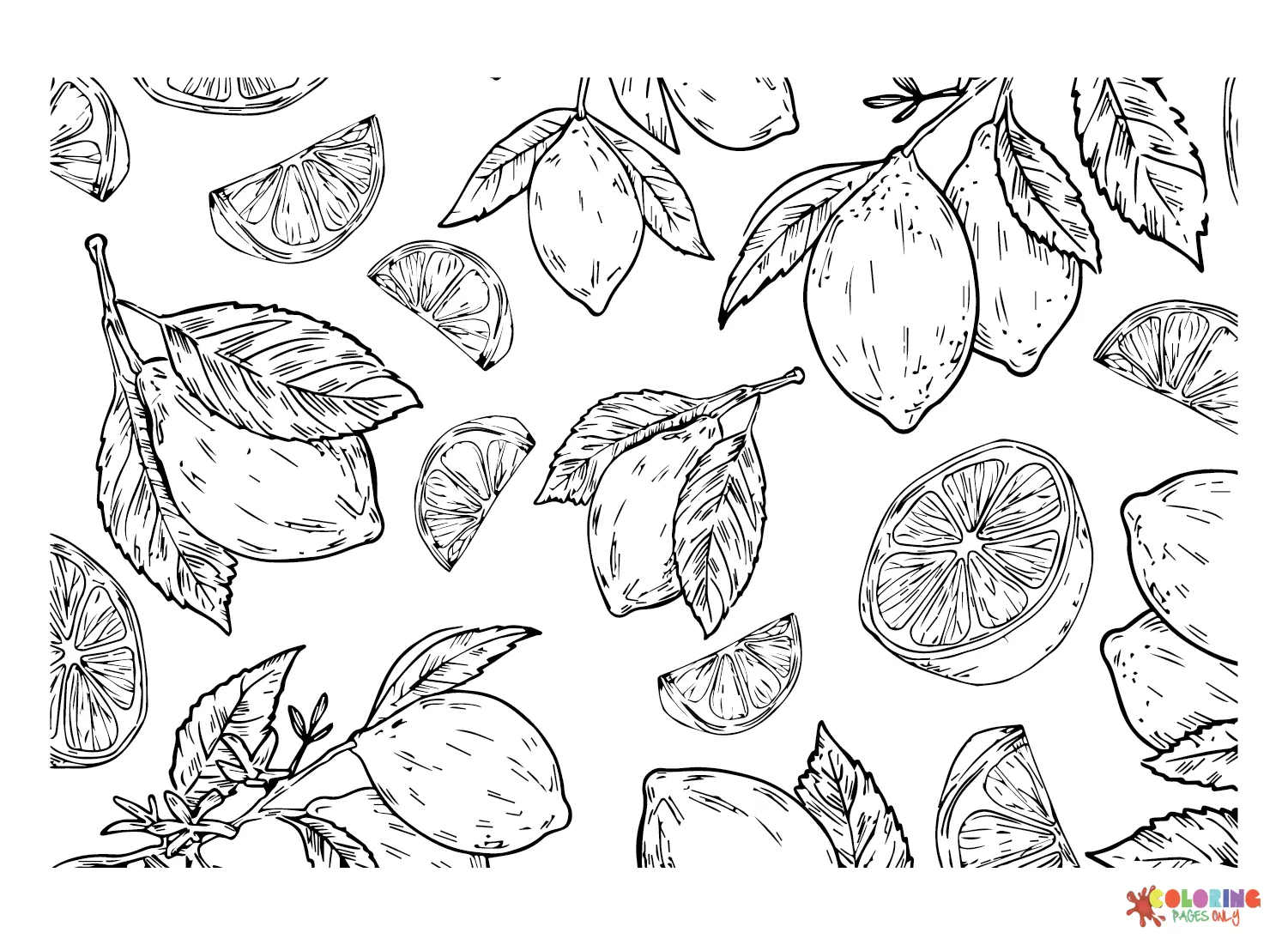 Citrus fruits Coloring Pages 21