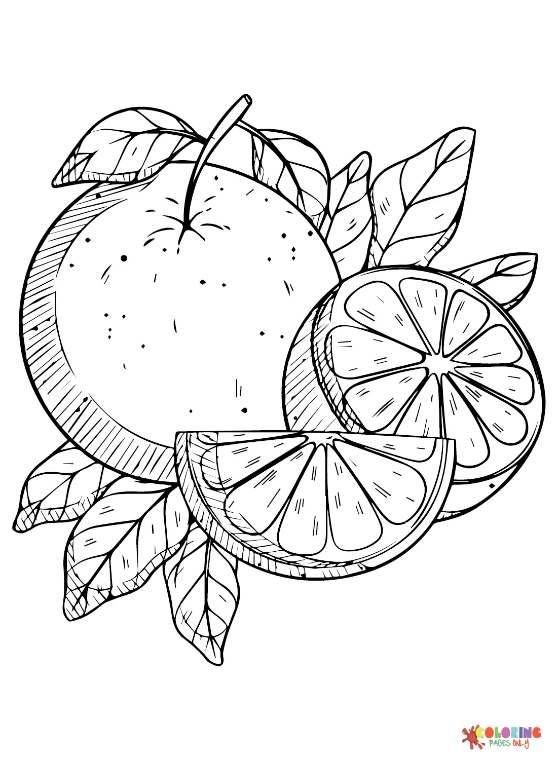 Citrus fruits Coloring Pages 3
