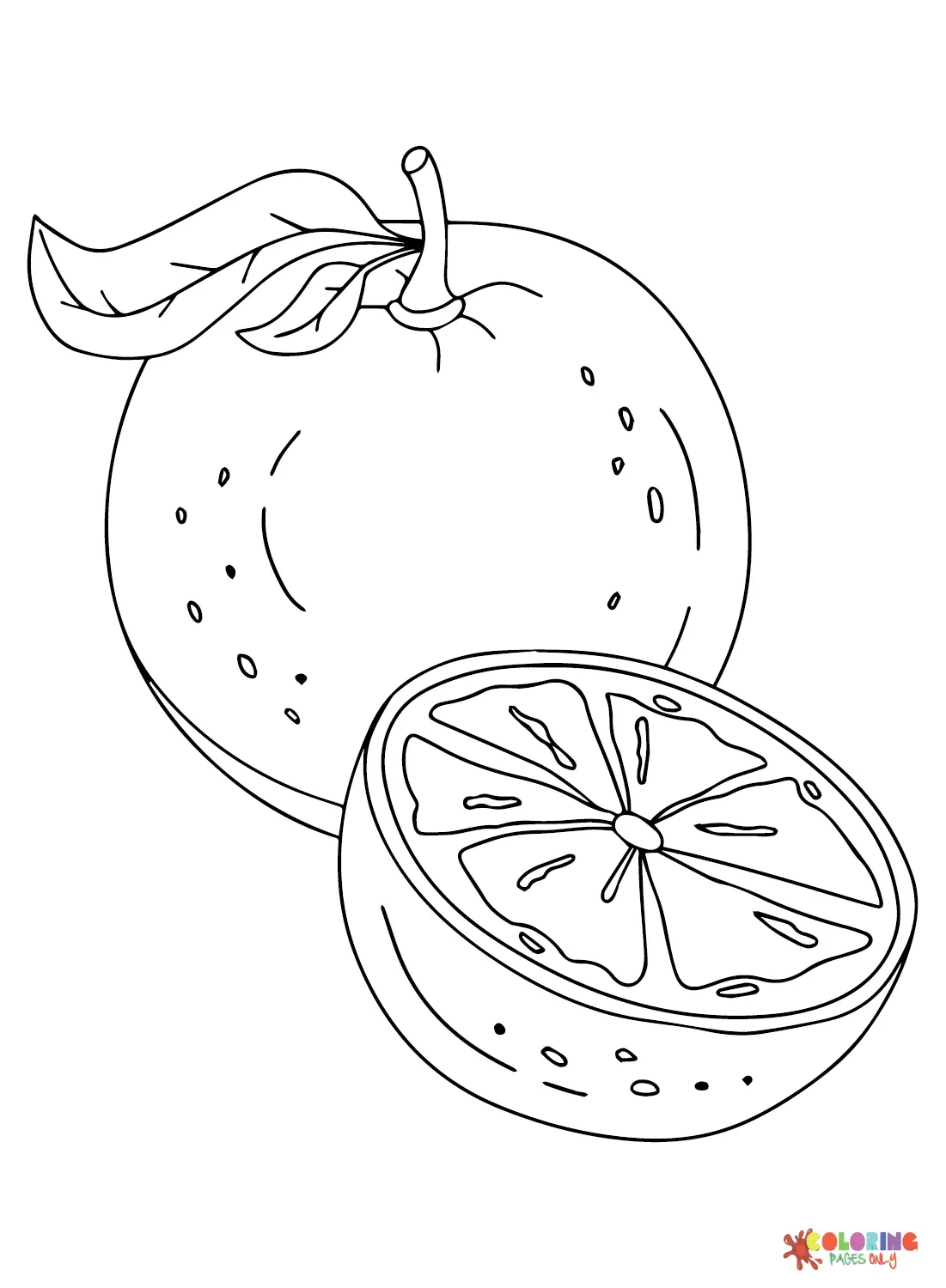 Citrus fruits Coloring Pages 6