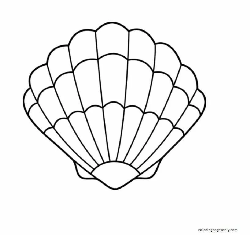 Clam Coloring Pages 6